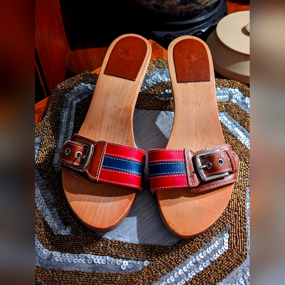 Vintage Coach Wood slides